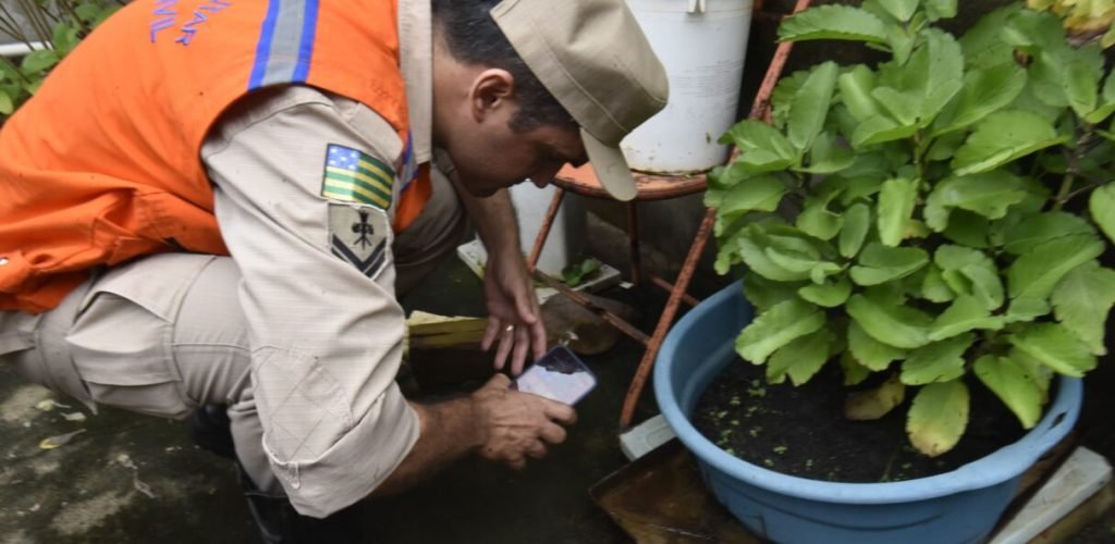 Saúde de Goiás realiza Dia D de Combate à Dengue
