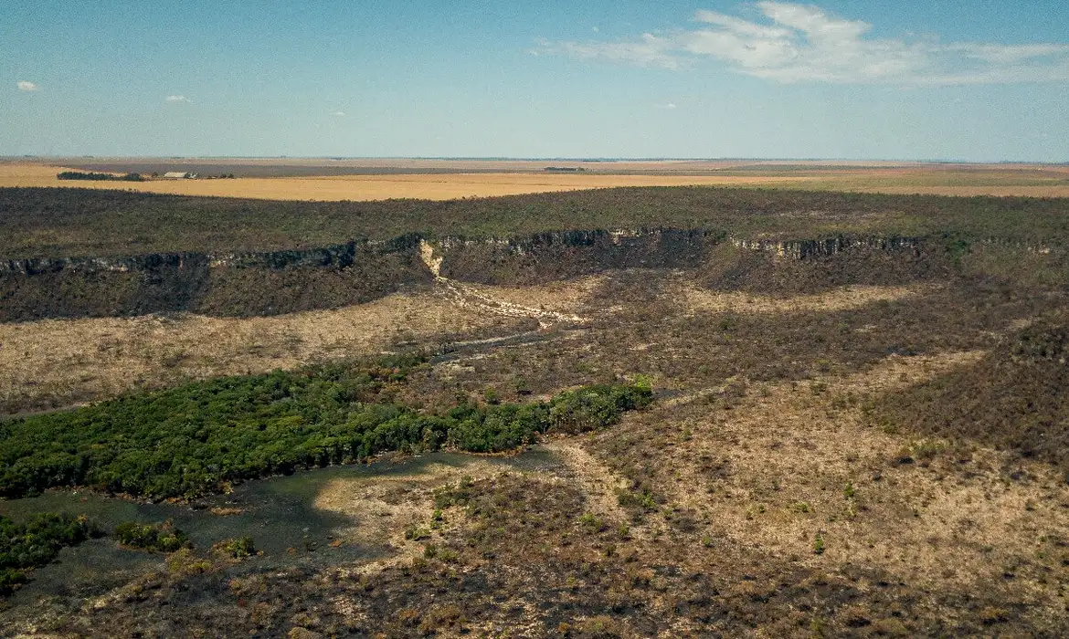 Alertas de desmatamento anual do Cerrado aumentam 14,6%