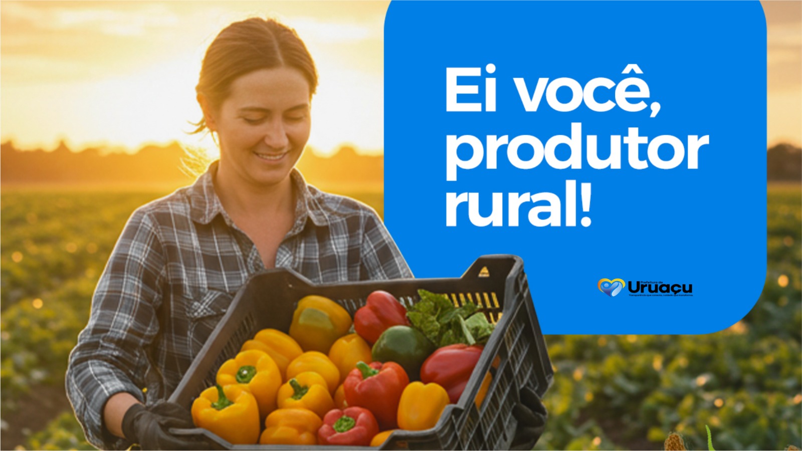 Prefeitura de Uruaçu abre Chamada Pública para aquisição de alimentos da Agricultura Familiar