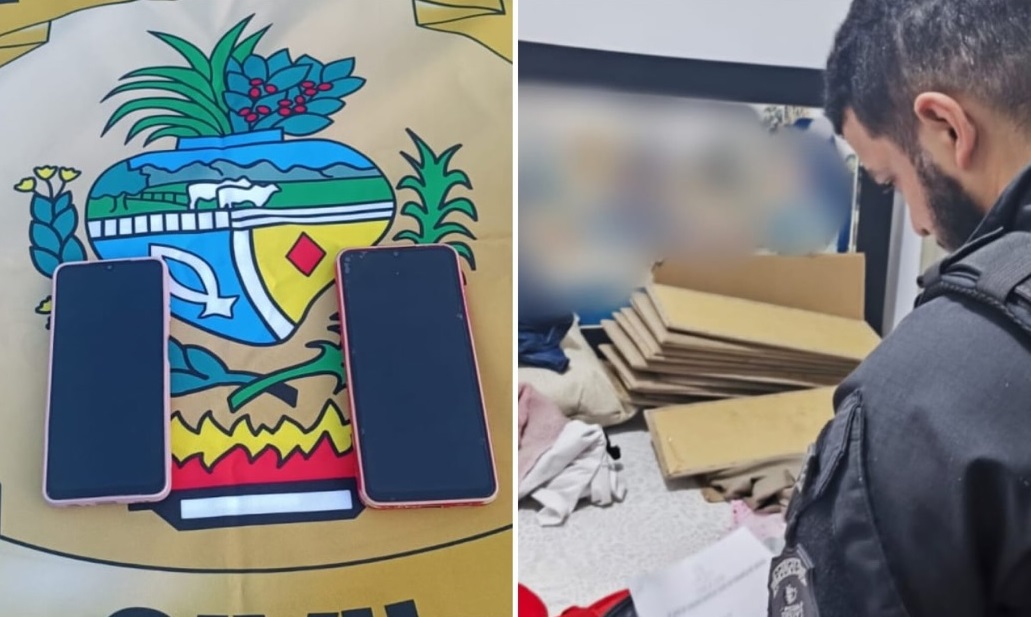 Polícia Civil recupera celular furtado e investiga golpe em compra de pneus em Uruaçu