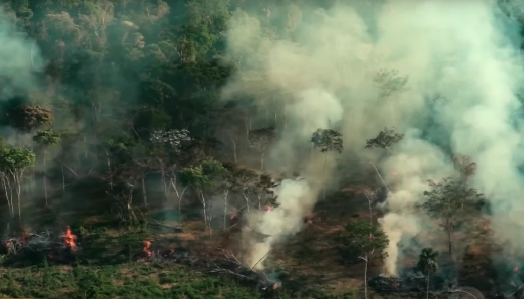 Desmatamento da Amazônia cresce 55% em abril deste ano