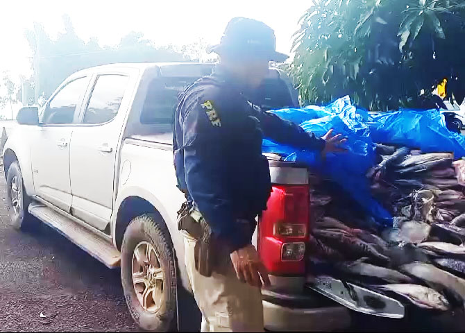 Comerciante é detido pela PRF transportando pescado irregular na BR-153