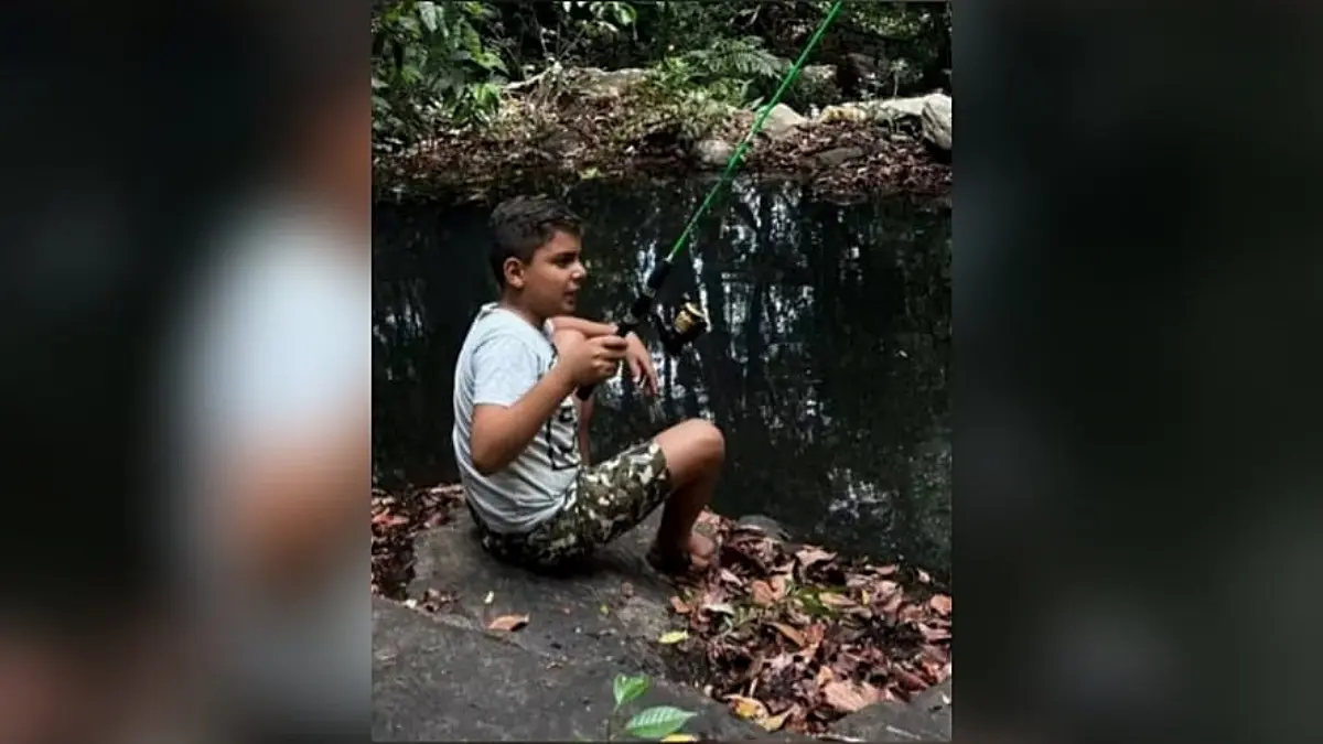 Morre menino de 9 anos atacado por abelhas em Catalão