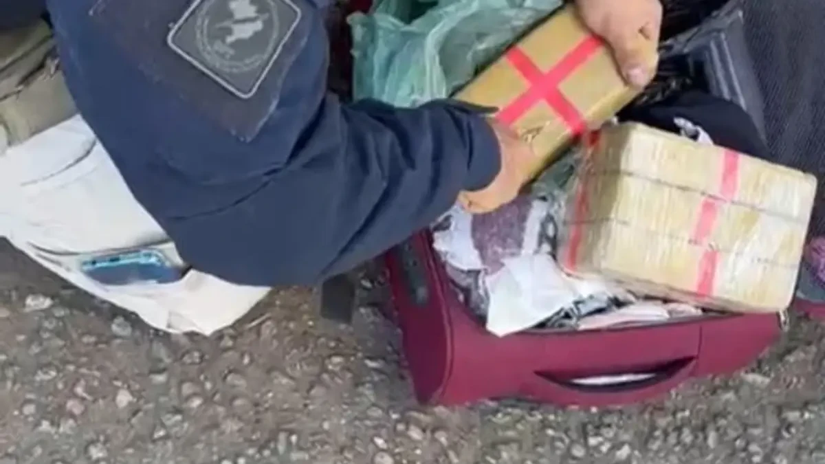 Apreensão de cocaína cresce mais de 9.000% durante operação de Carnaval em Goiás