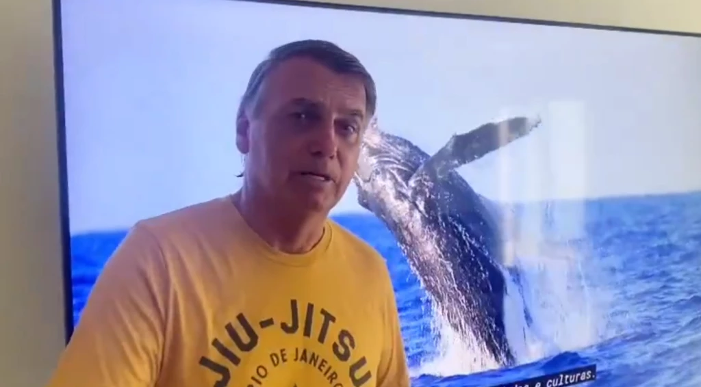 Caso baleia: Bolsonaro é multado mesmo após PF não indiciá-lo