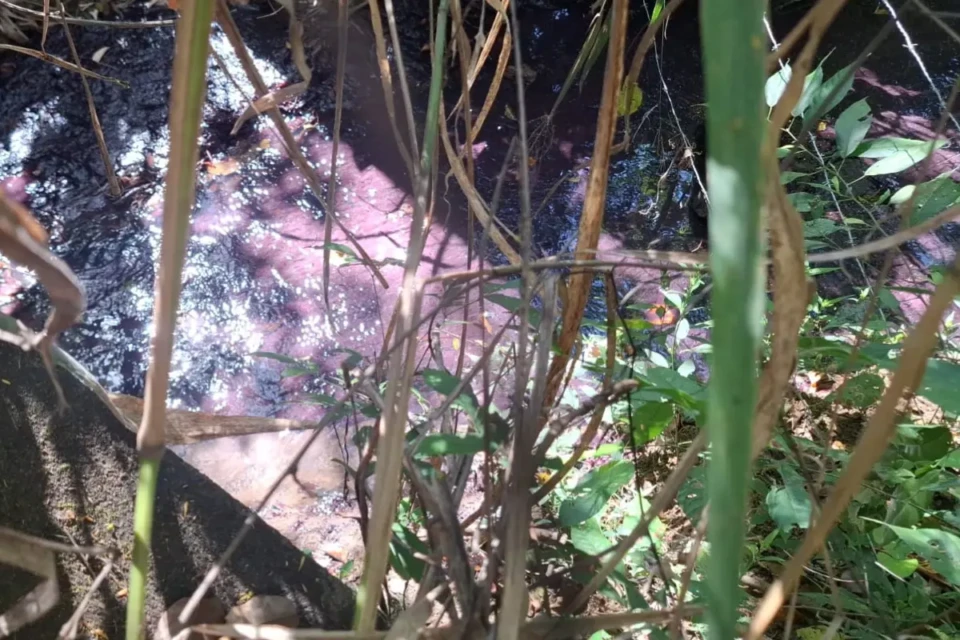 Mancha rosa avança em córrego após incêndio com produtos químicos na BR-153