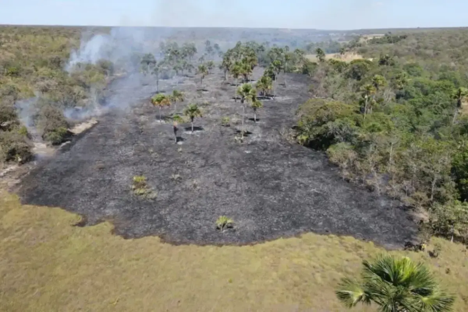 Cimehgo alerta para risco de incêndios enquanto chuvas ainda não se estabelecem de forma regular