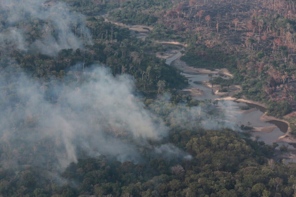 Incêndios no Amazonas