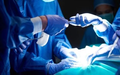 67ec5275-rins-de-porco-em-humanos-a-esperanca-para-quem-espera-por-um-transplante-1-1200x675-1
