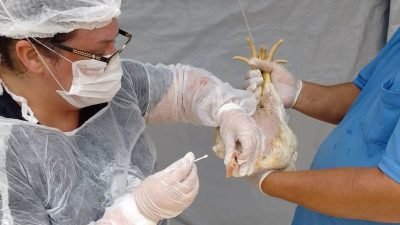 Agrodefesa