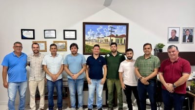 Fiscais-Municipais