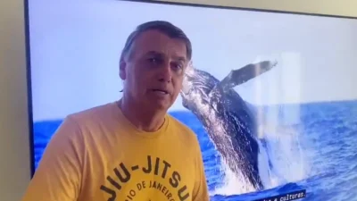Jair Bolsonaro em mensagem a apoiadores com vídeo de baleia ao fundo Foto: Reprodução/Print da Rede social X
