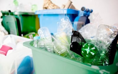 WhatsApp-Image-2025-11-12-at-15.00.54