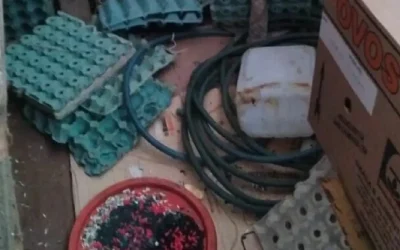 ovos-x-deposito-1200x675-1