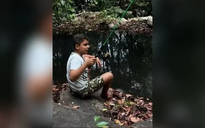 whatsapp-image-2025-11-25-at-11-38-24