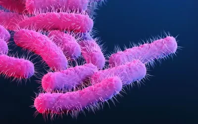 whatsapp-image-2026-03-27-at-11-23-53